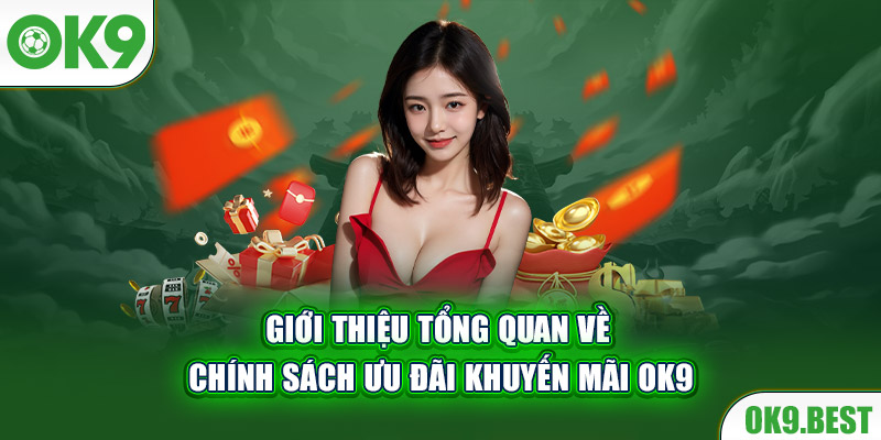 Giới thiệu tổng quan về hệ thống khuyến mãi tại OK9