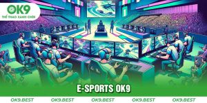 E-Sports OK9