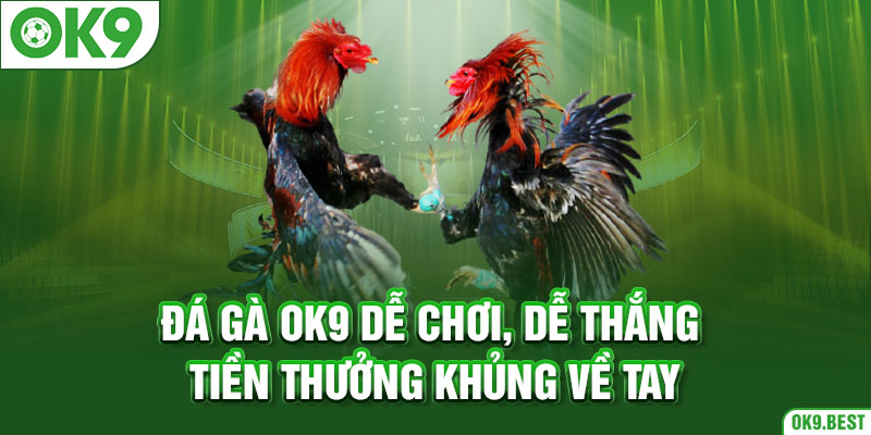 Đá gà OK9 dễ chơi, dễ thắng tiền thưởng khủng về tay