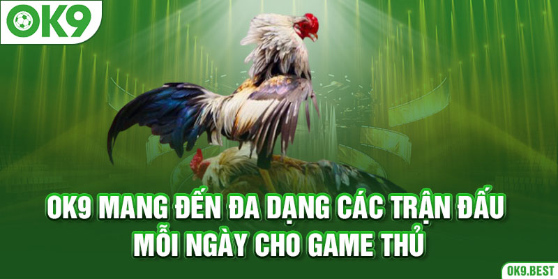 OK9 mang đến đa dạng các trận đấu mỗi ngày cho game thủ